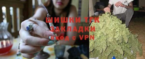 тгк Алексин