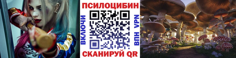 mega   продажа наркотиков  Талица  Галлюциногенные грибы ЛСД 